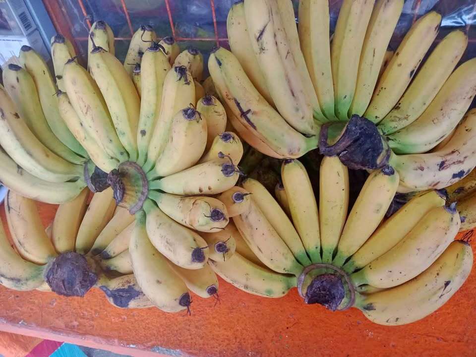 Lakatan Banana