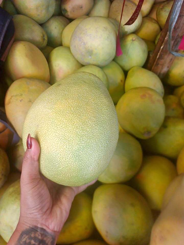 Pomelo