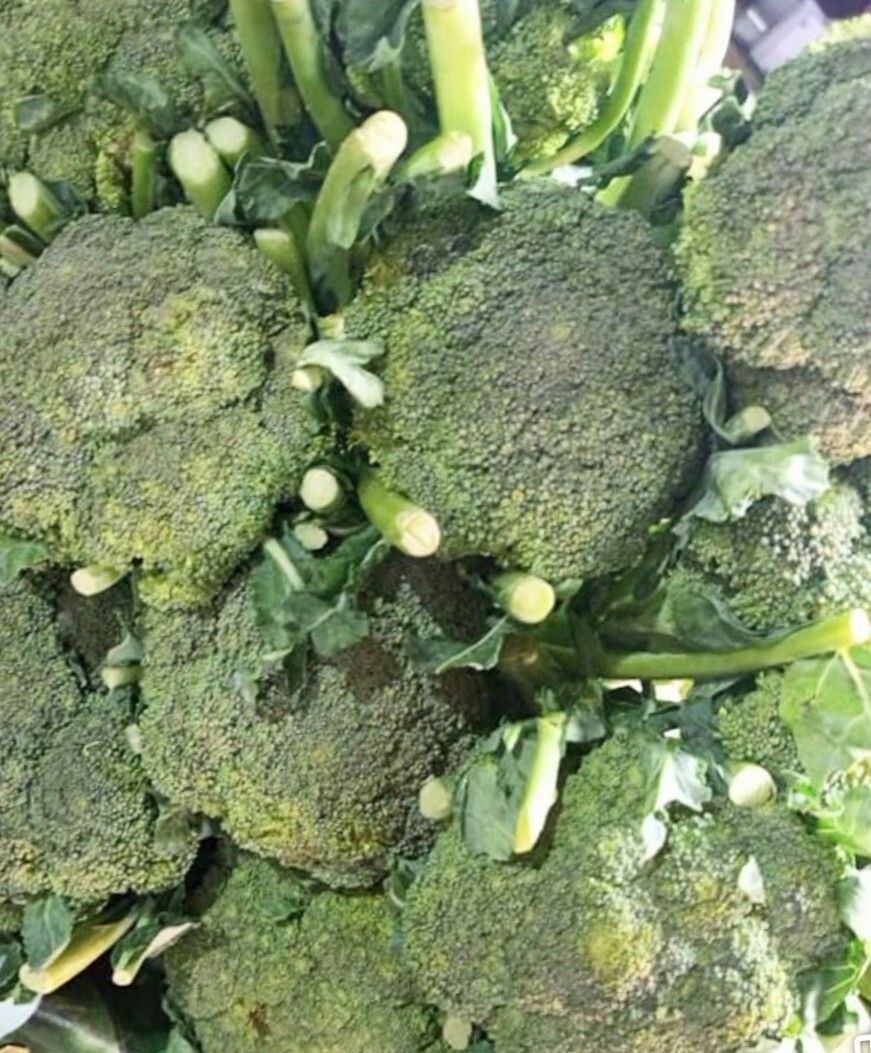 Fresh Broccoli - Farm to table