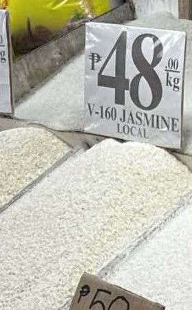 V - 160 Jasmine local