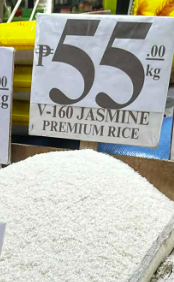 V - 160 Jasmine premium
