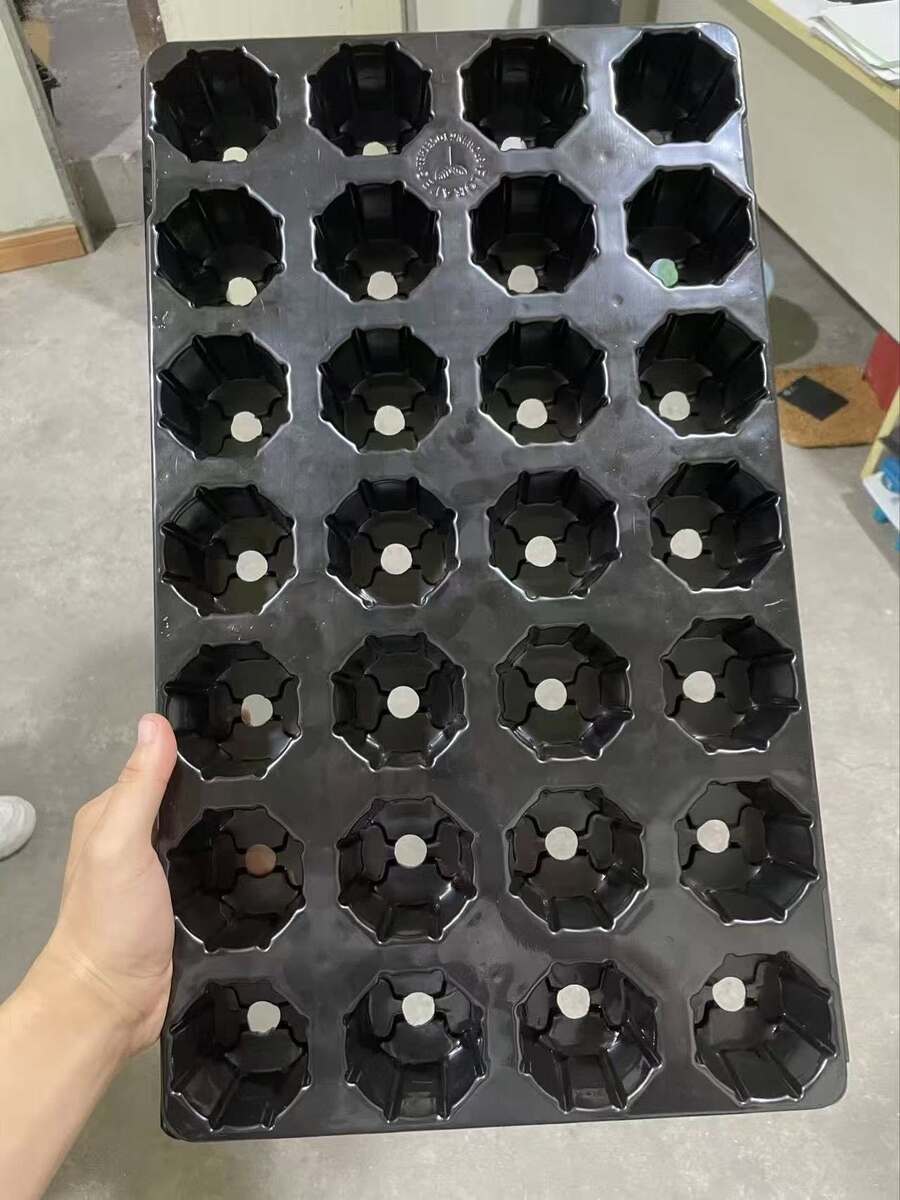 Seedling Tray