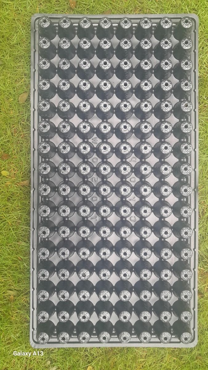Seedling trays