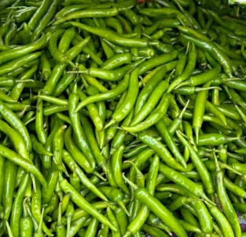Siling Panigang / Green Hot Pepper – Fresh Supply