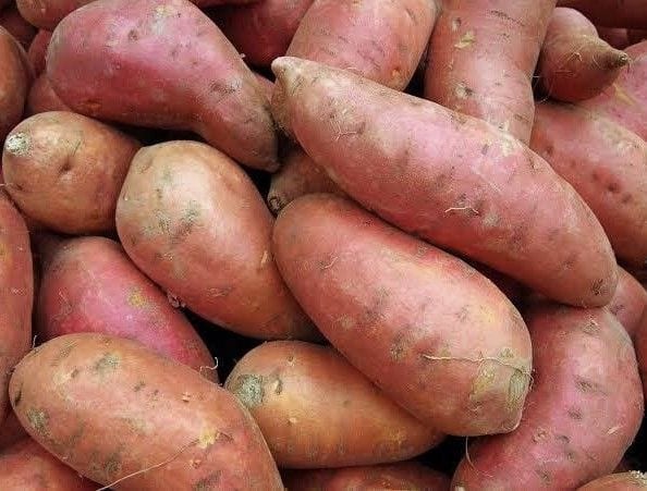 Fresh Harvest Organic Camote
