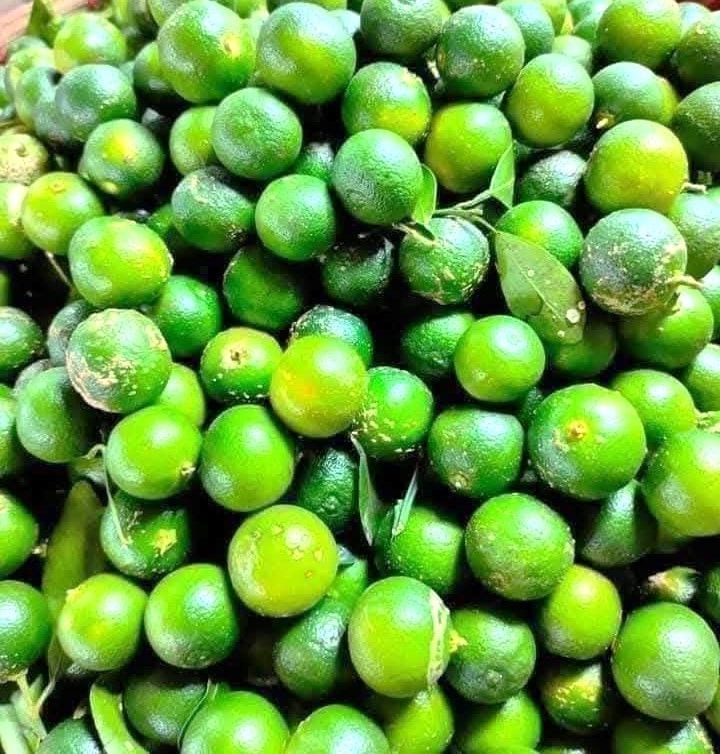 Lemonsito (Calamansi)