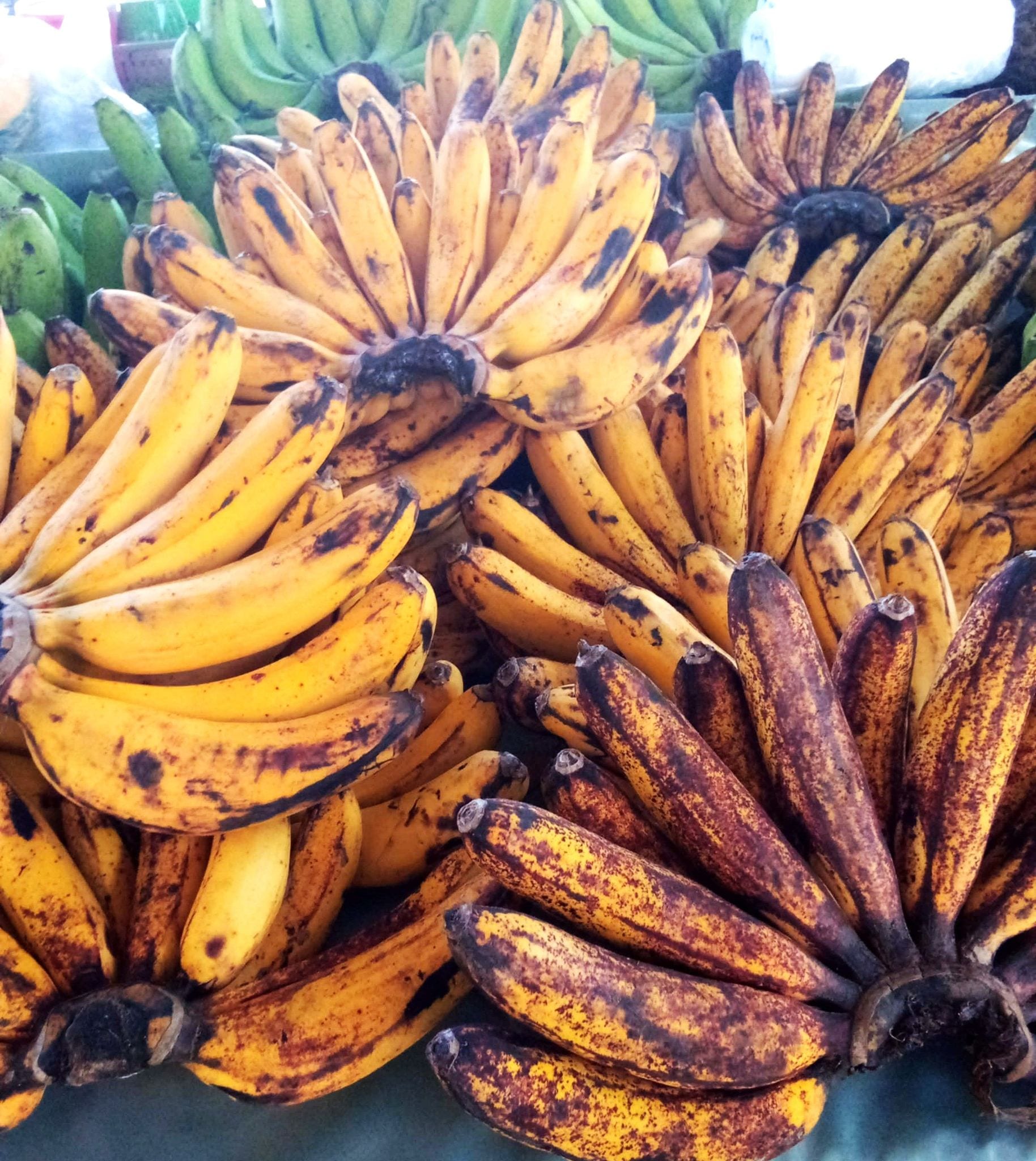 Small Local Lakatan