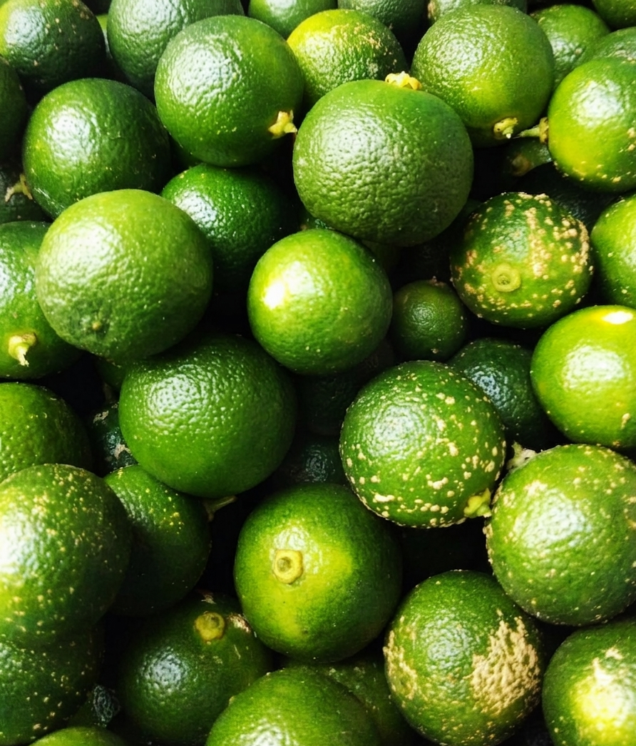 Calamansi / Lemonsito