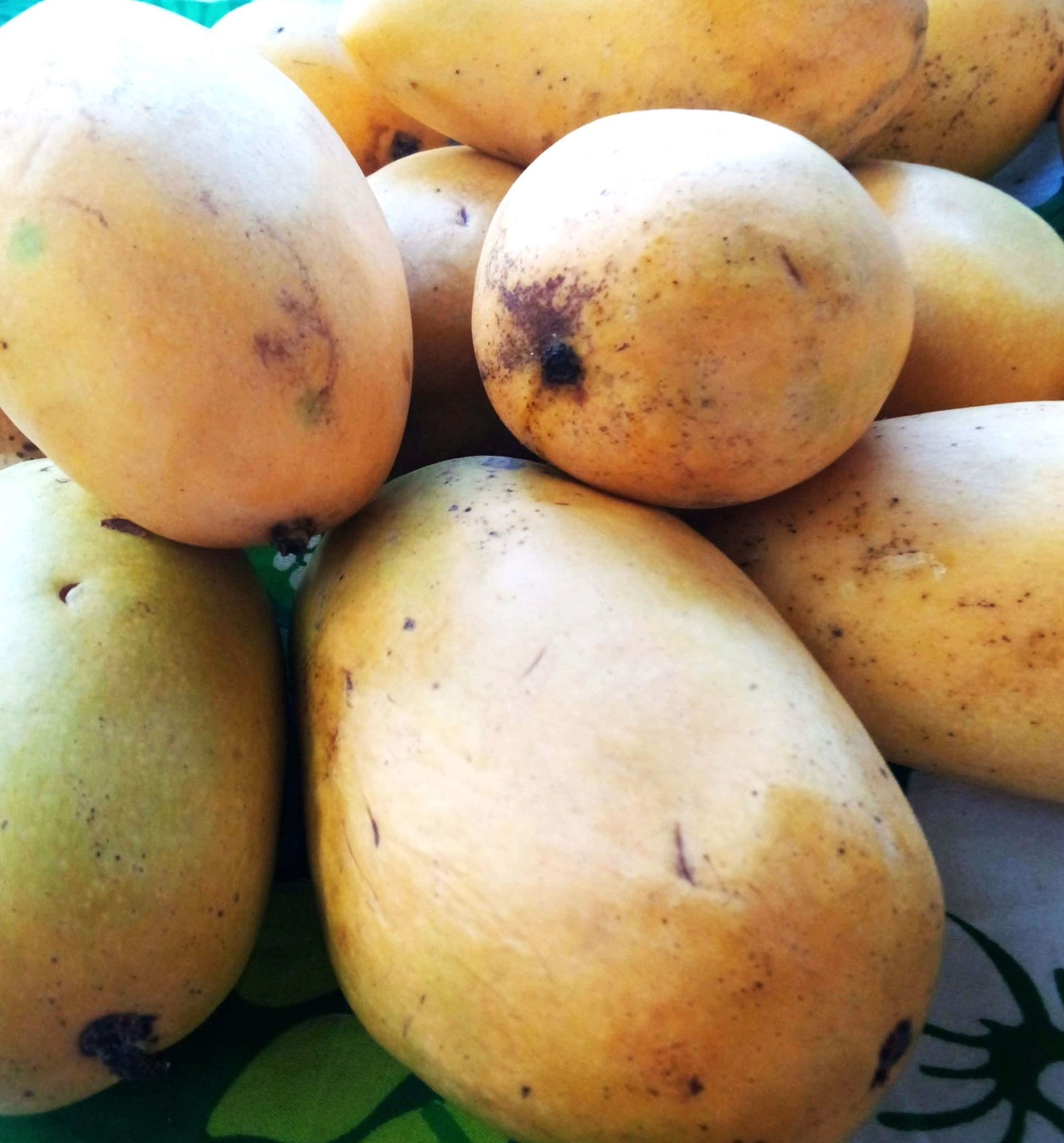 Plaridel Harvest Sweet Mango
