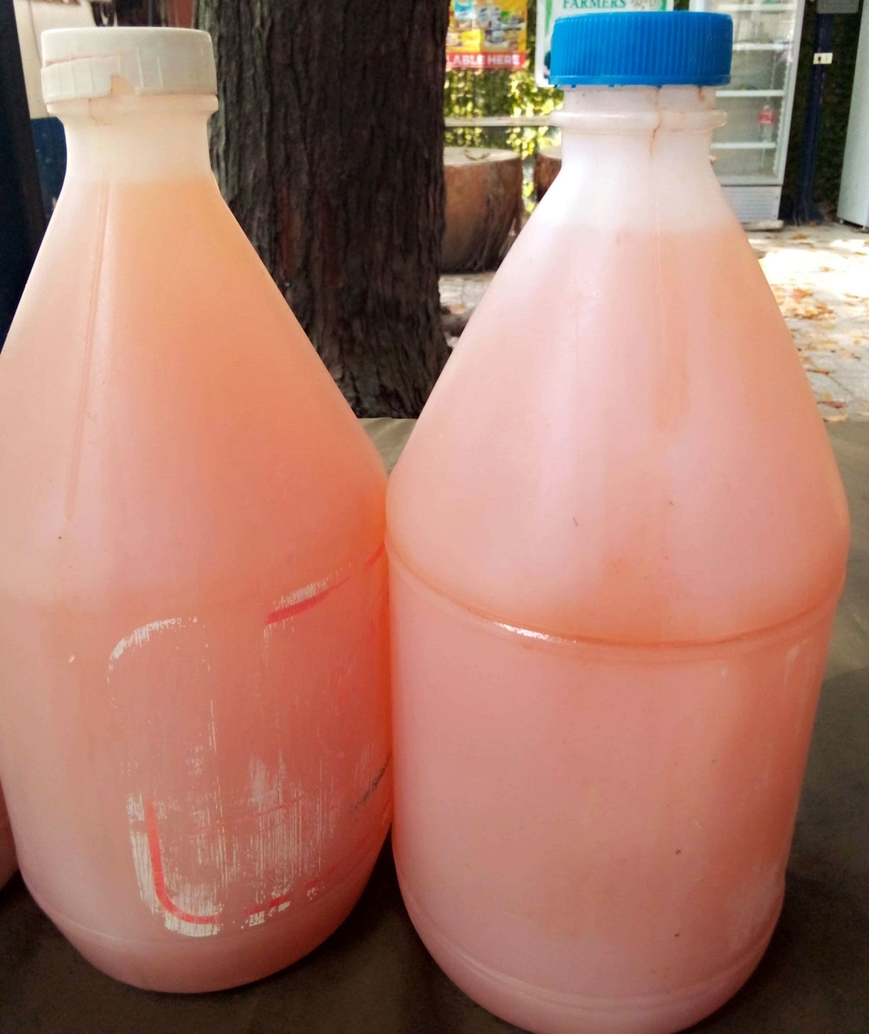 Pure Coconut Vinegar (Naturally Fermented)