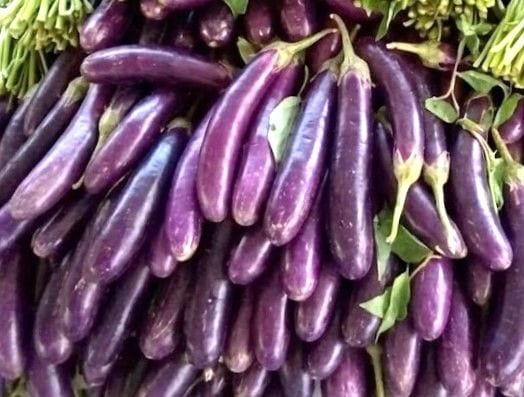 Eggplant