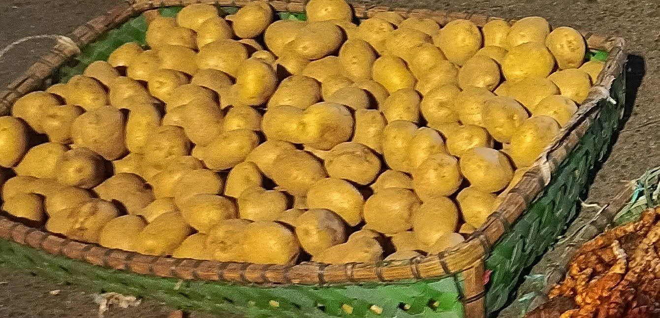 Potato