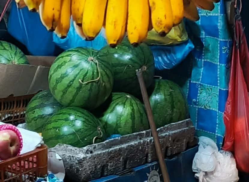 Water melon