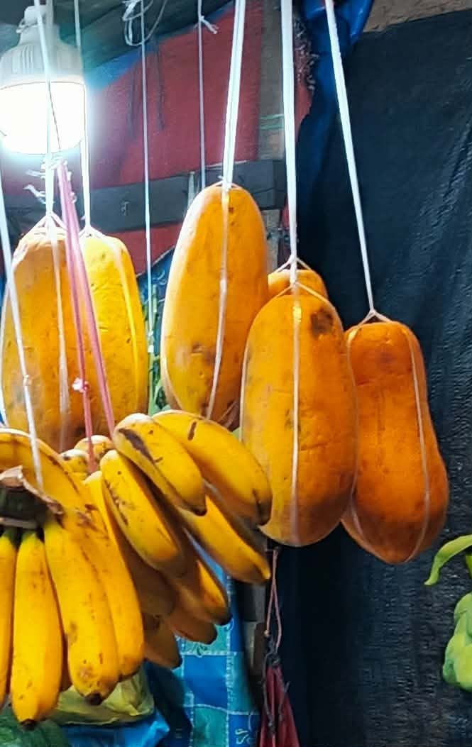 Ripe Papaya