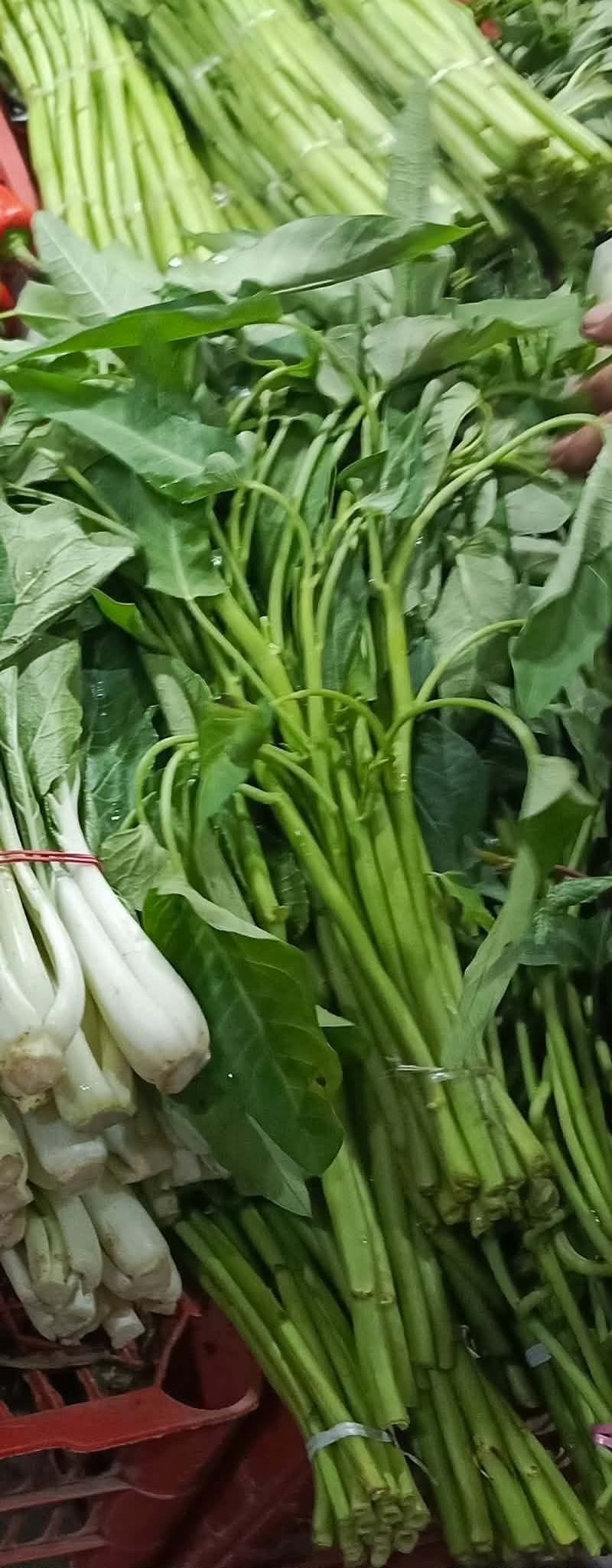 Kangkong