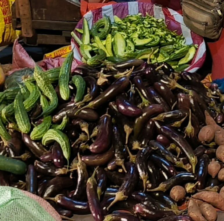 Talong for sale
