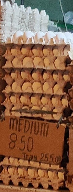 Itlog Medium