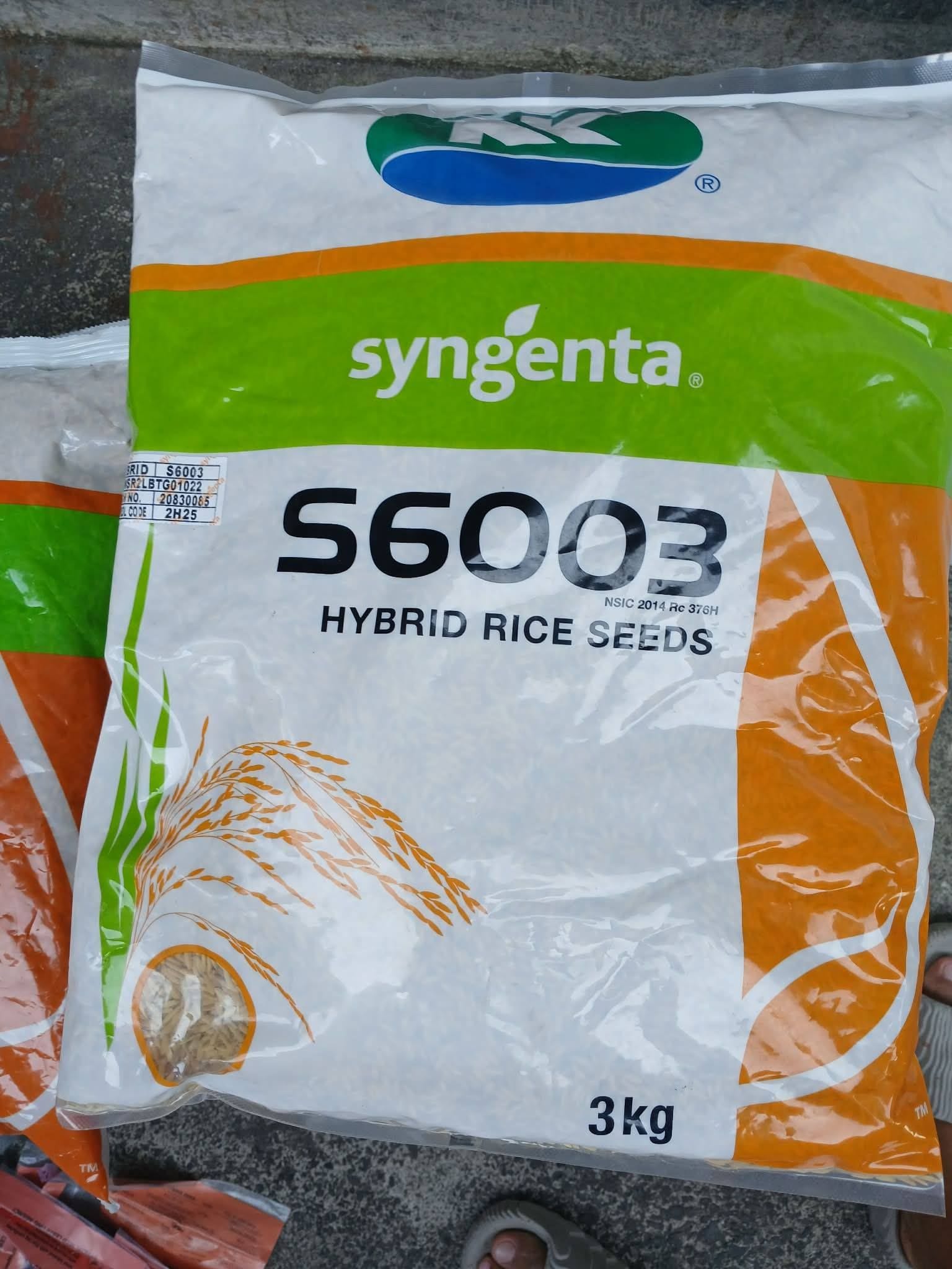 S6003 Hybrid Rice Seeds