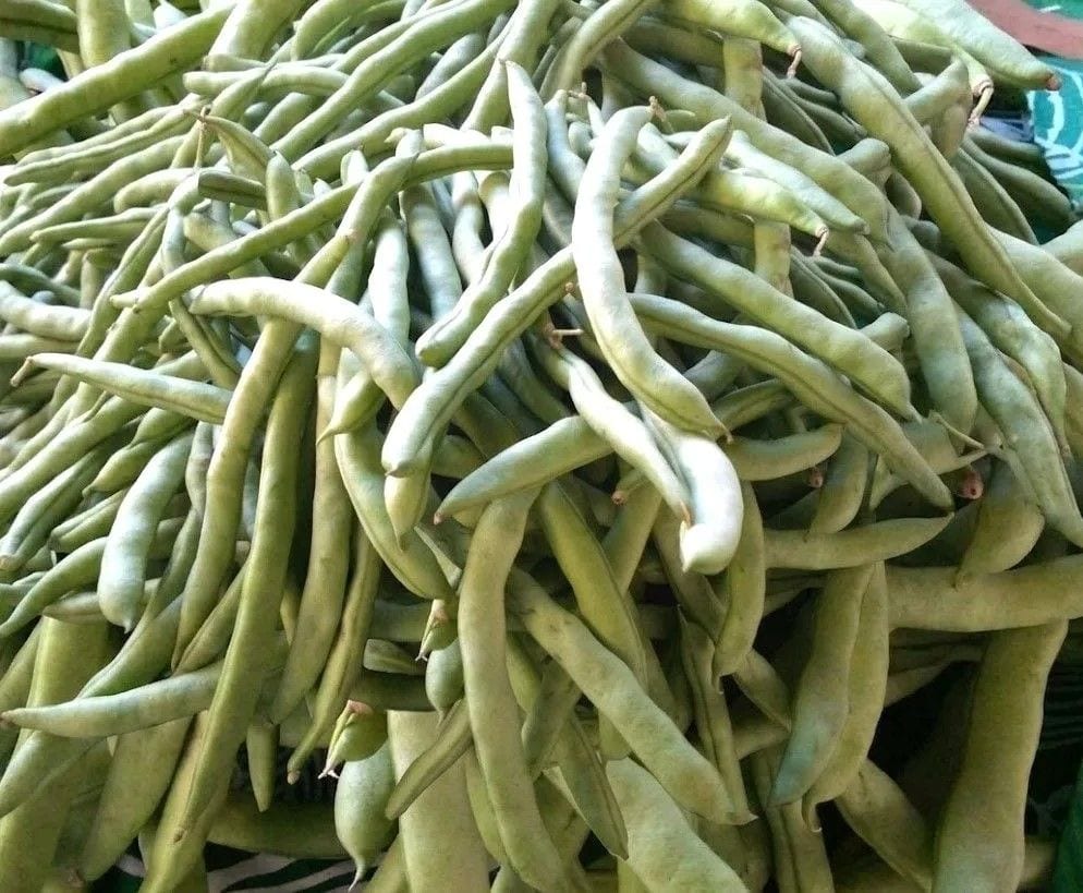 Baguio Beans
