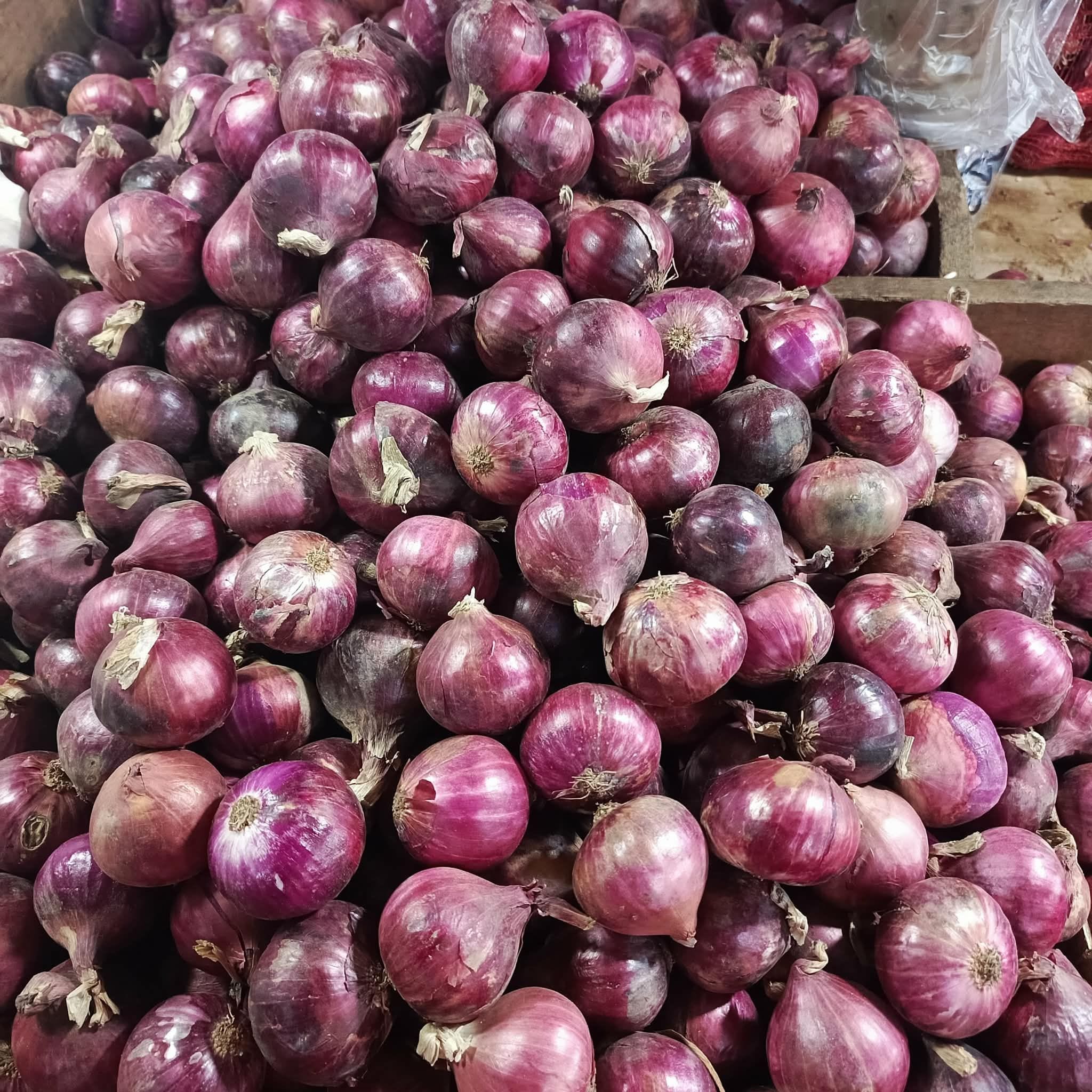Onions