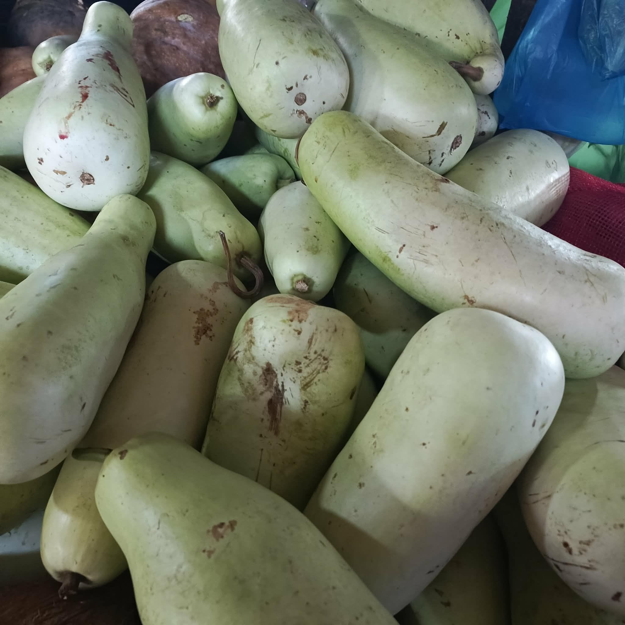 Upo