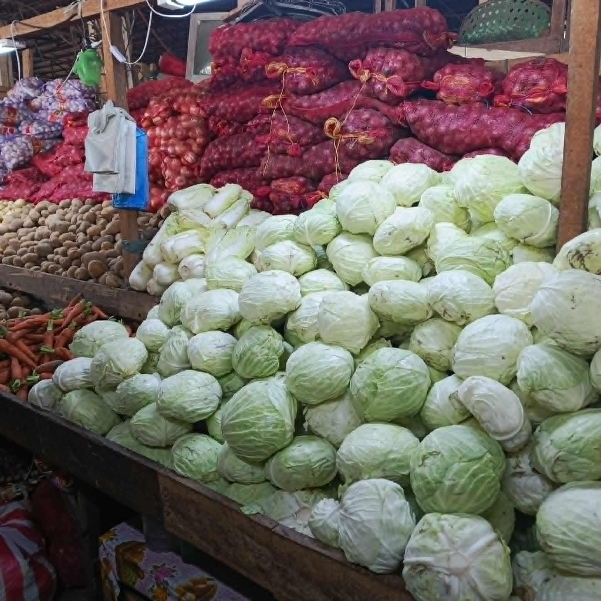 Cabbage