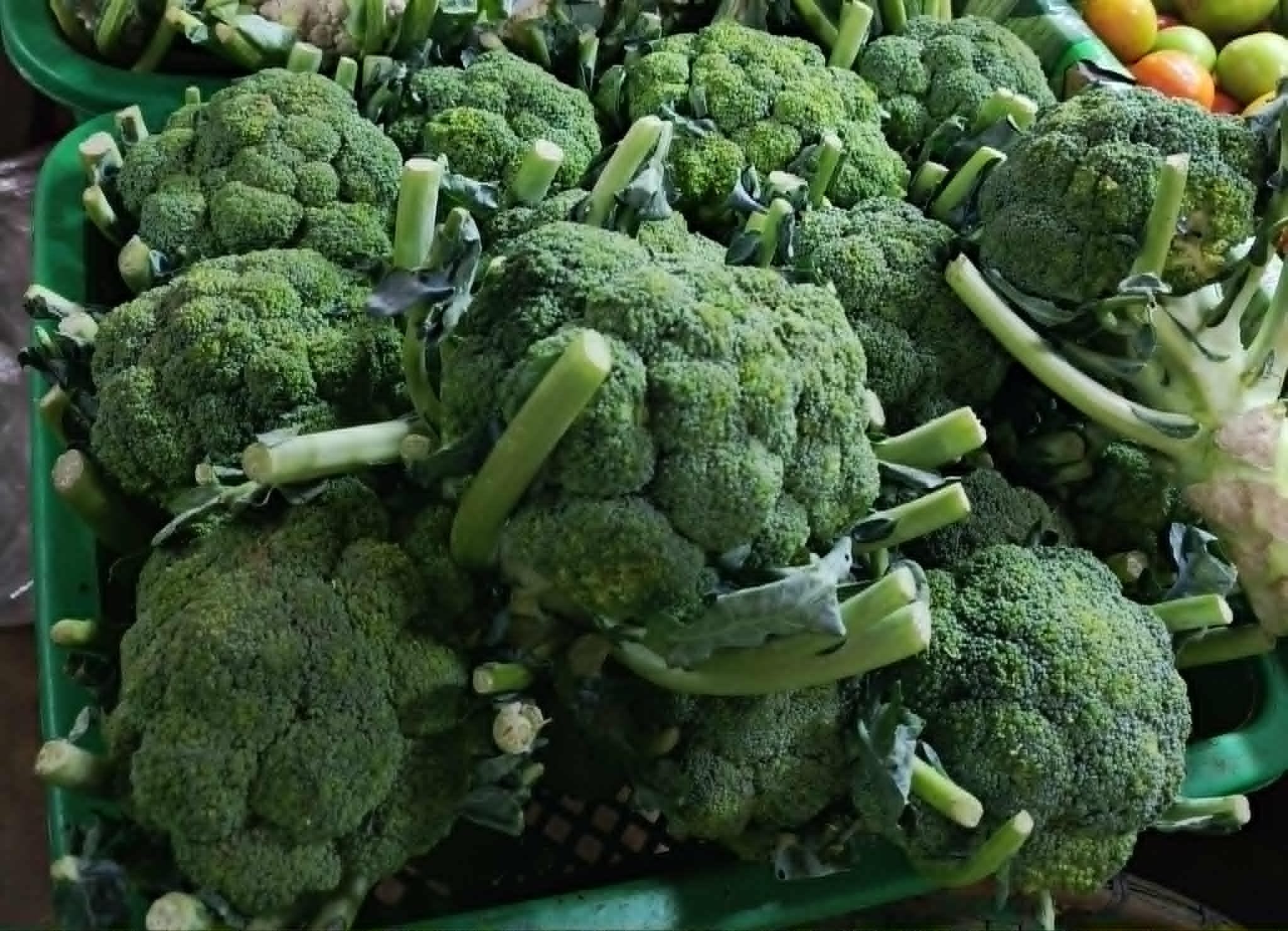 Broccoli