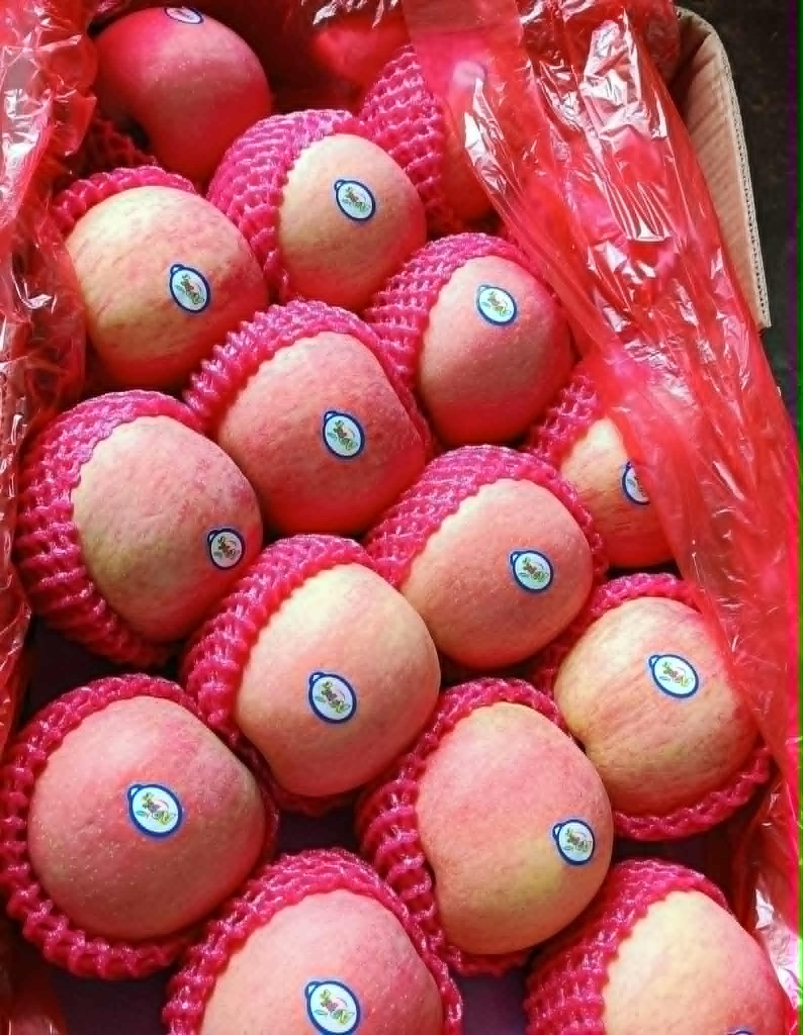 Apples
