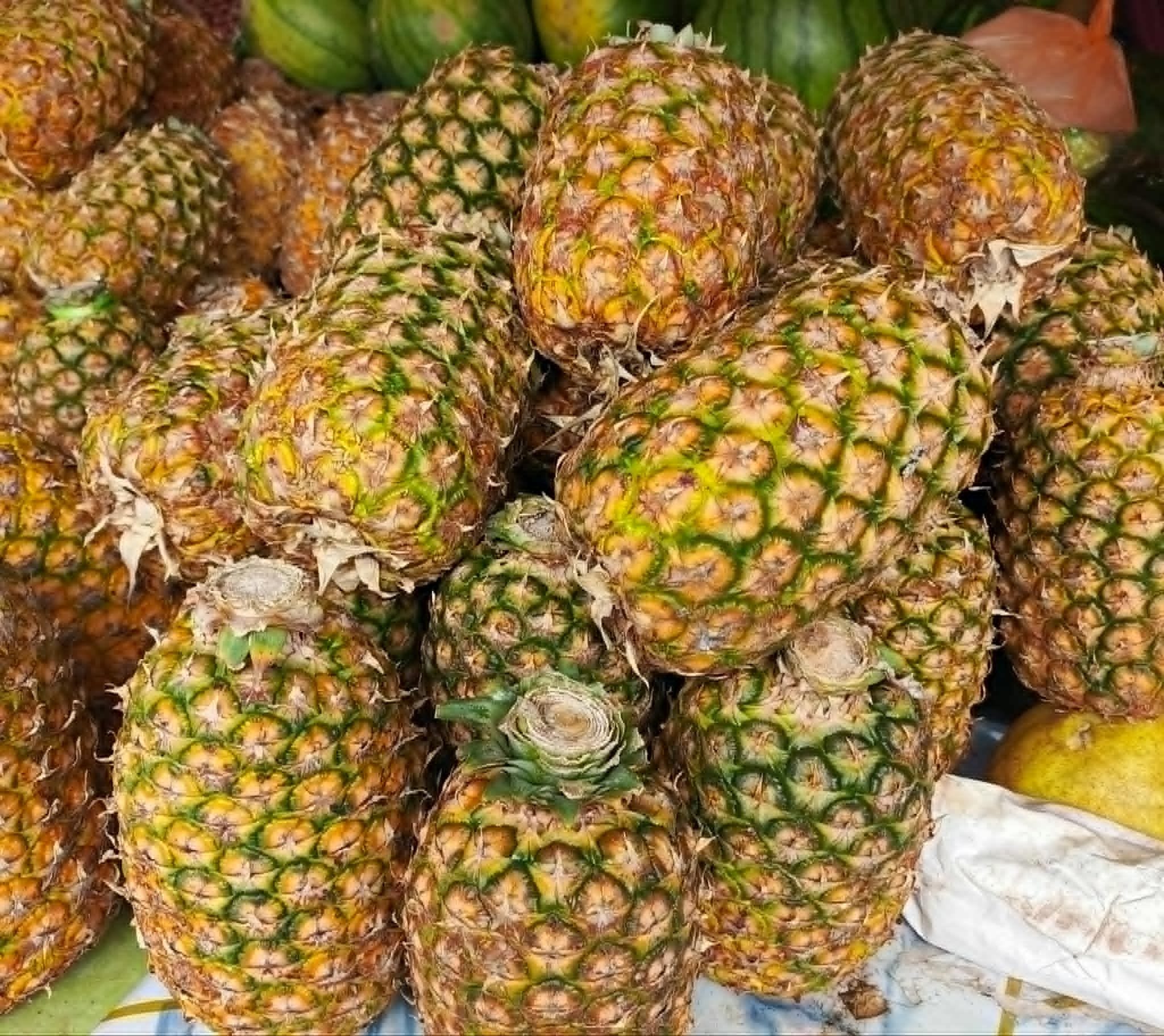 Pineapple