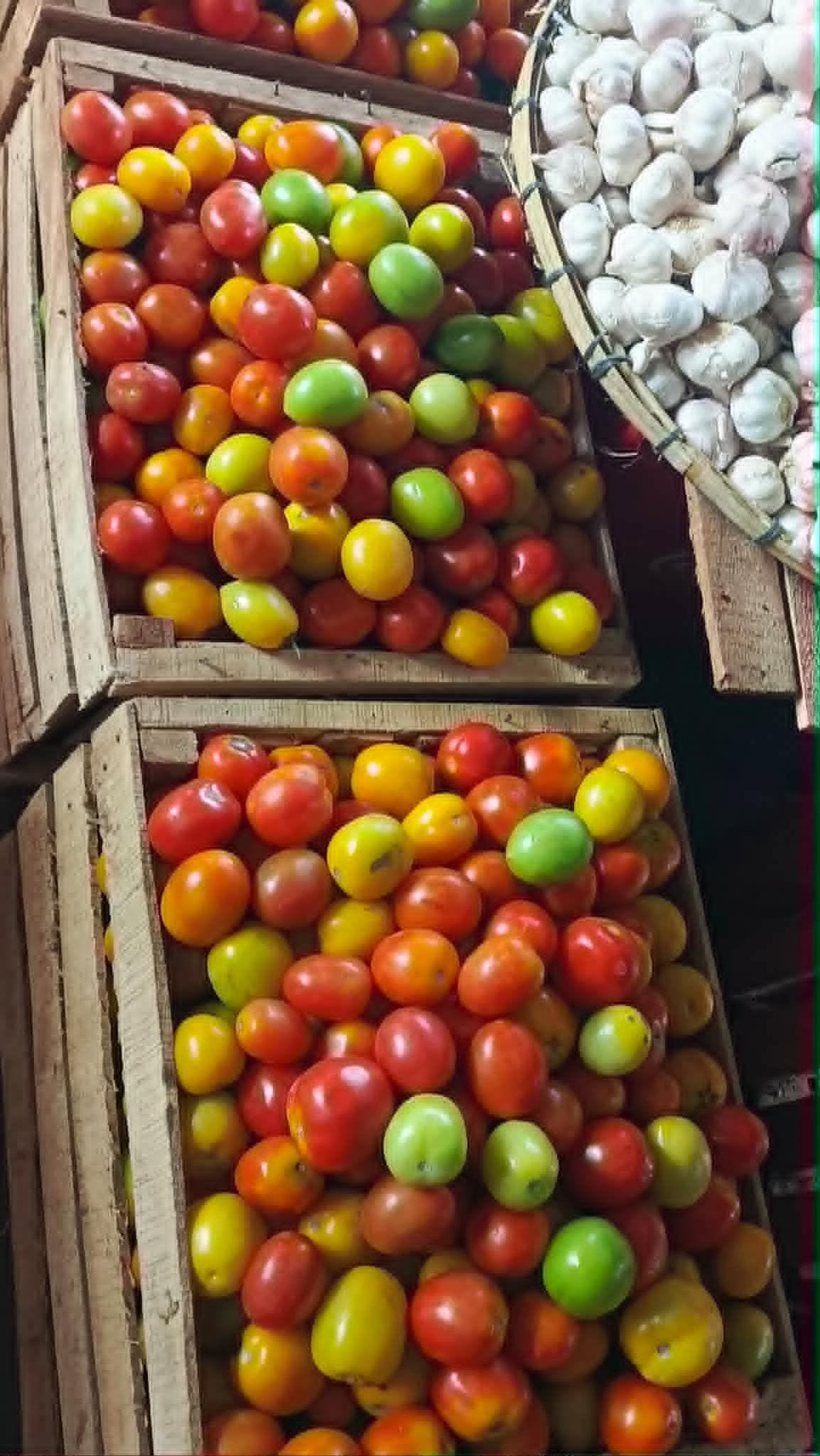 Tomato