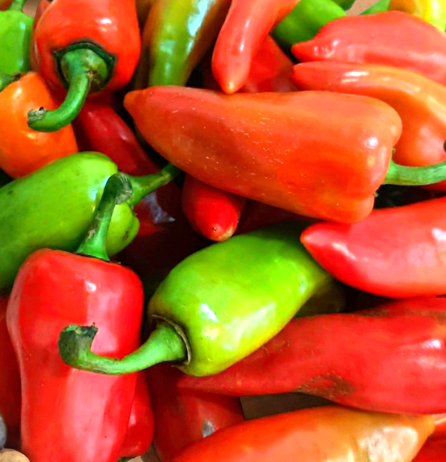 Locally Grown Bell Pepper (Atsal) | Farm Direct Supply