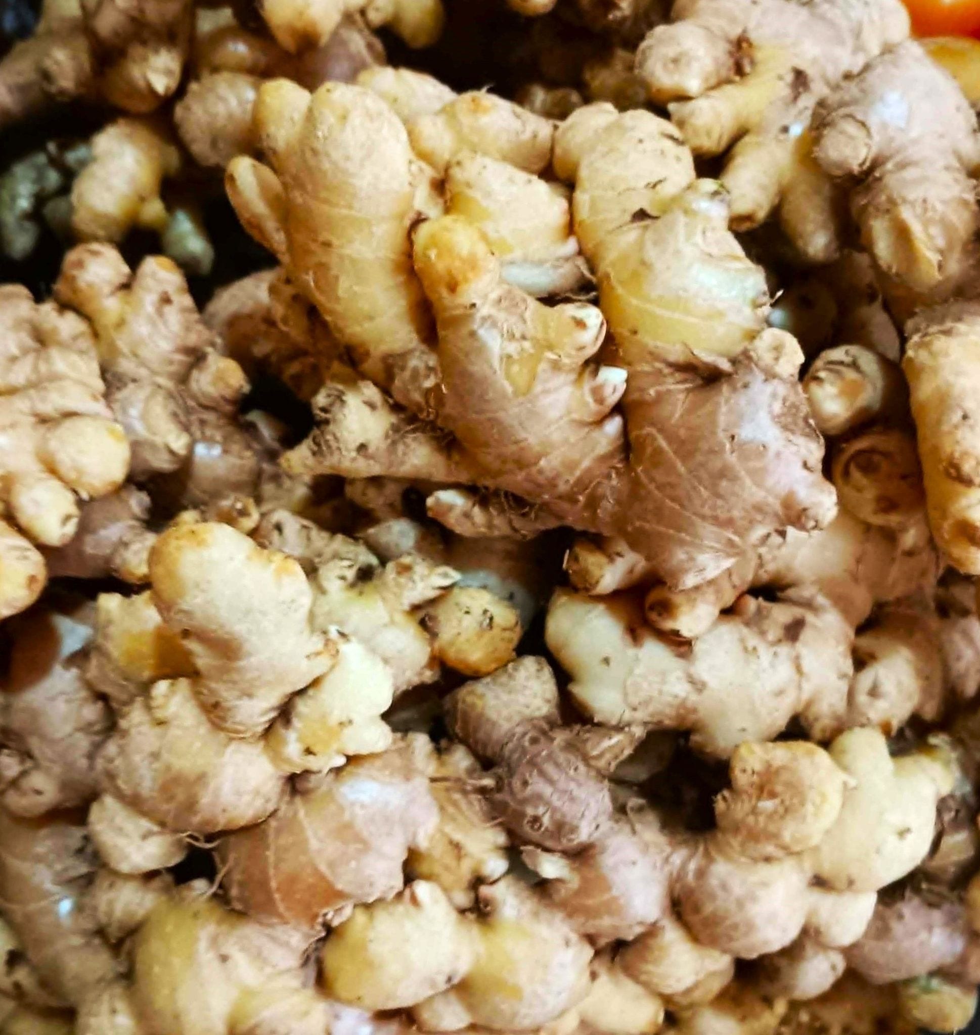 Premium Fresh Harvest Ginger - Farm Direct Supply