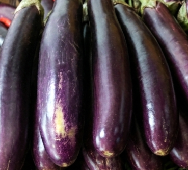 Farm Fresh Eggplant - Direct & Market Ready