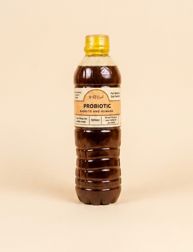 Natural Probiotic Drink - Multi-Purpose Fermented Beverage