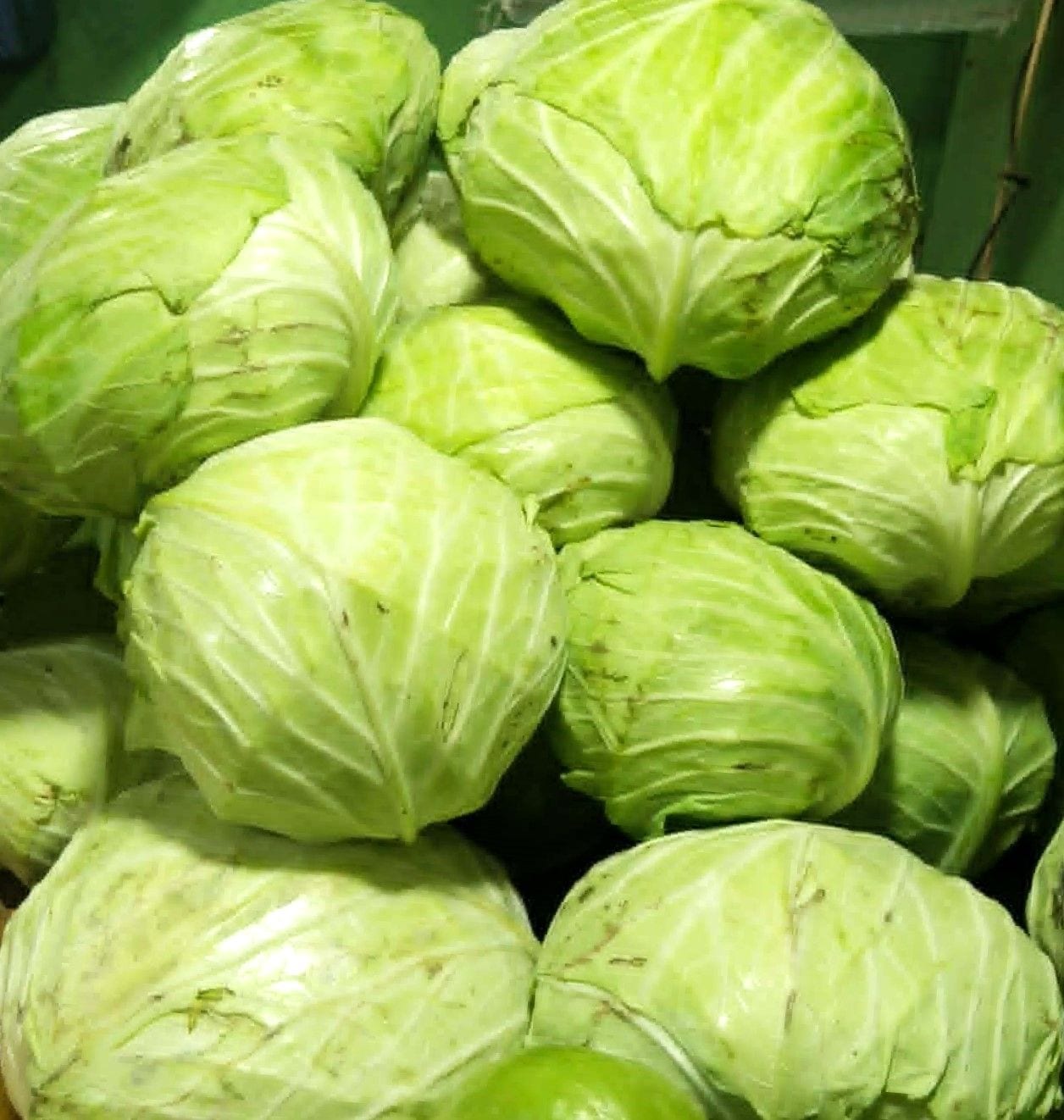 Farm Select Cabbage - Fresh Harvest