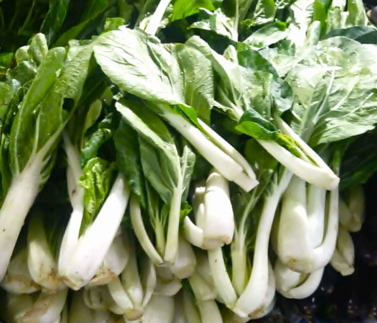 Daily Harvest Pechay - Fresh Local Produce