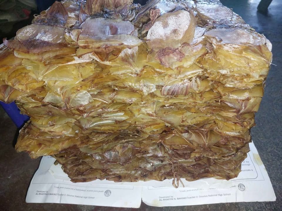 Dried Pusit Skinless-Lapad