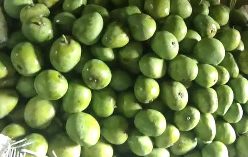 Indian Mangoes - Farm Picked