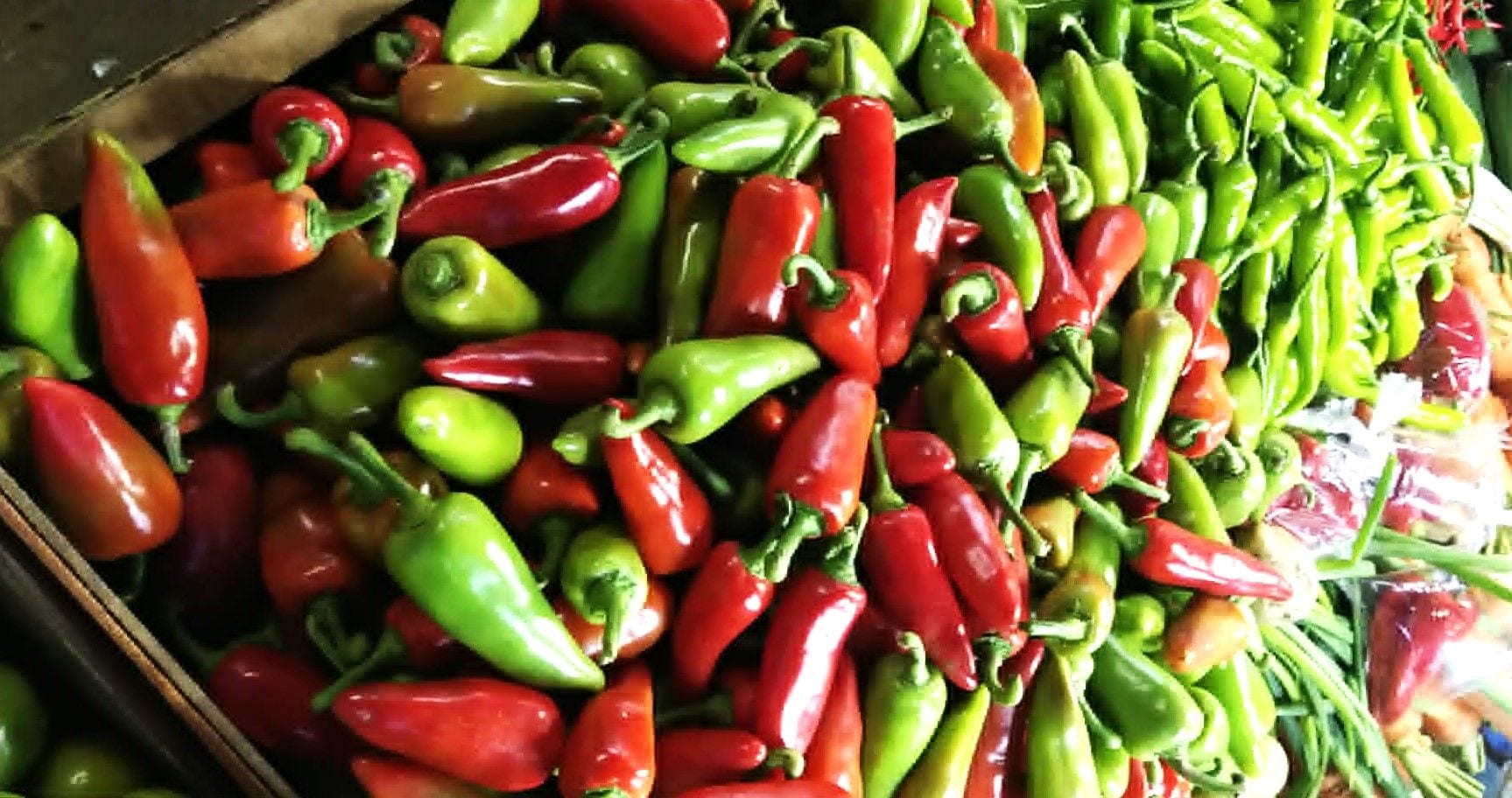 Fresh Bell Pepper