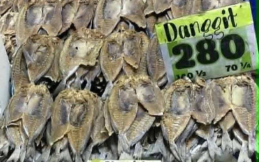 MoyMoy's Dried Fish - Danggit with Bones