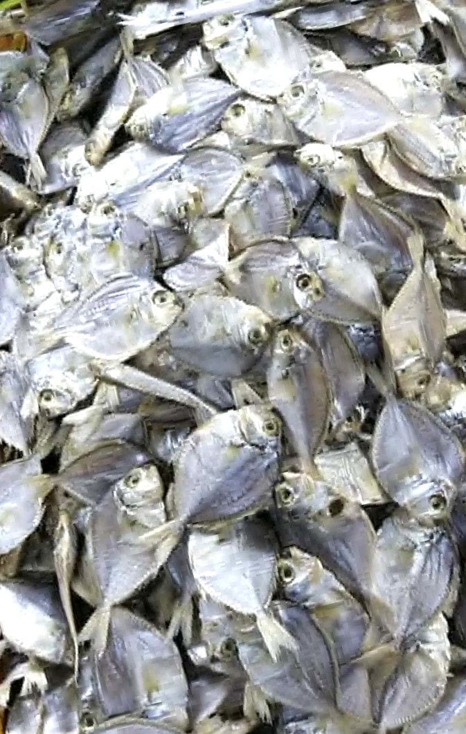 MoyMoy's Dried Fish Sapsap (Medium)