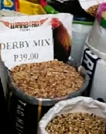 Warbird Feeds Derby Mix – Gamefowl Conditioning Feed