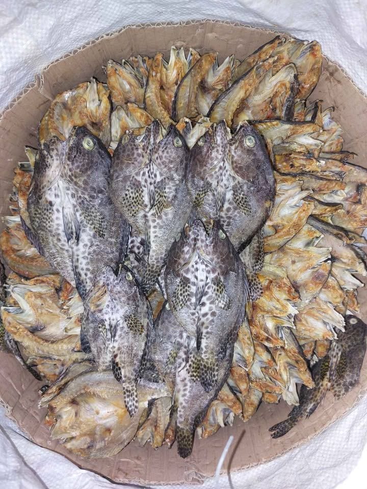 Dried fish Lapu- lapu