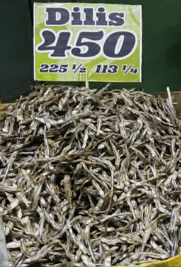 MoyMoy’s Dilis - Golden Catch