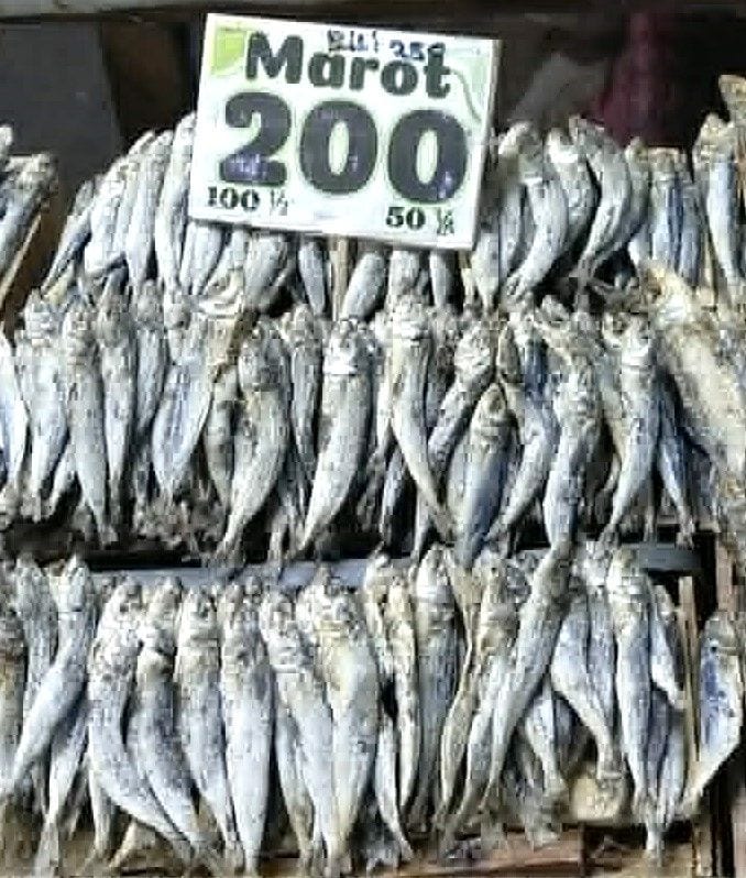 MoyMoy’s Dried Marot - Small Size