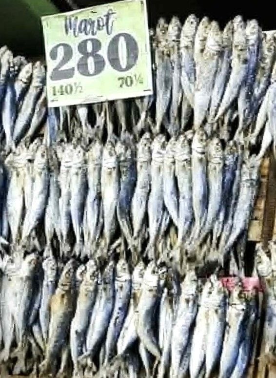 MoyMoy’s Dried Marot - Large Size