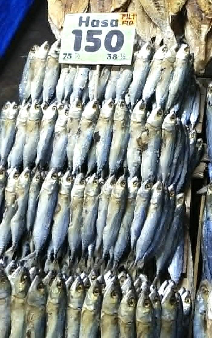 Dried Hasa Fish - MoyMoy’s Dried Fish