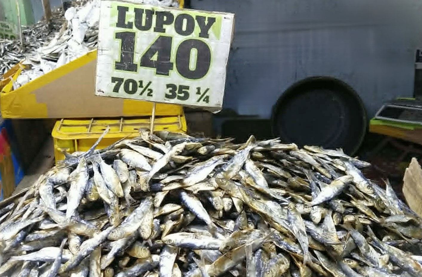 Dried Lupoy Fish - MoyMoy’s Dried Fish