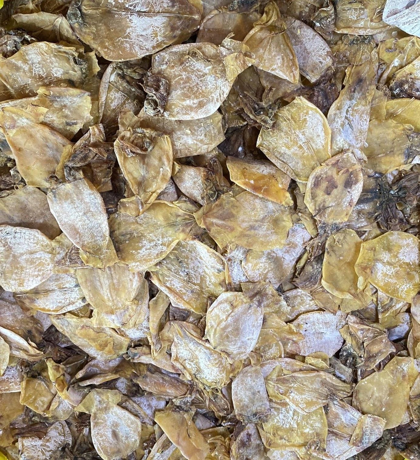 Dried Pusit/Nukos (Dried Squid) from General Santos City