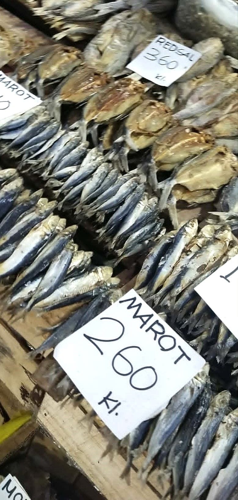 Dried Marot Fish - Traditional Filipino Dried Seafood